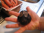 truffles