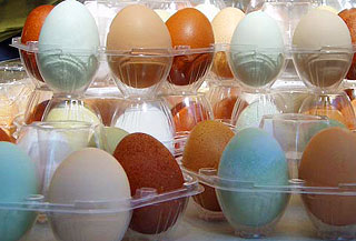 colored eggs