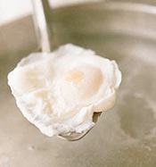 poached egg