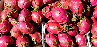 dragonfruit