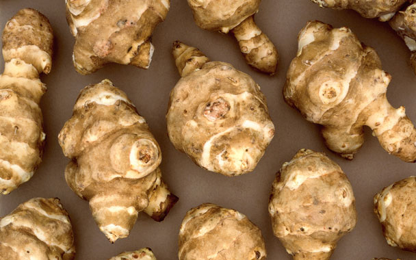 Jerusalem artichoke