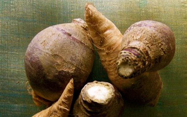 rutabaga