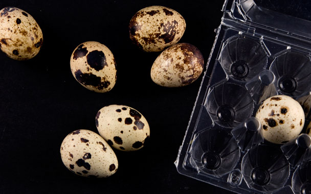 quail eggs