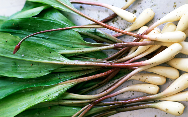 ramps