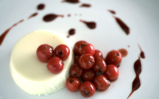 sour cherries with panna cotta