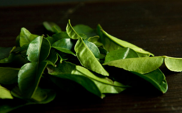 Kaffir Lime Leaf