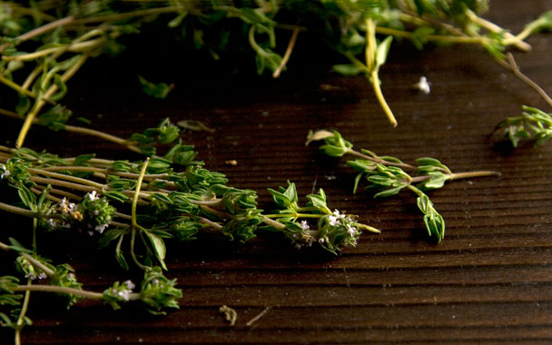 Thyme