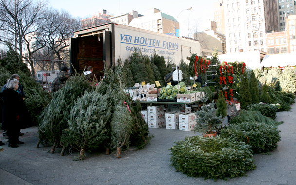winter at the Greenmarket