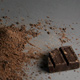 Michael Laiskonis Savory Chocolate