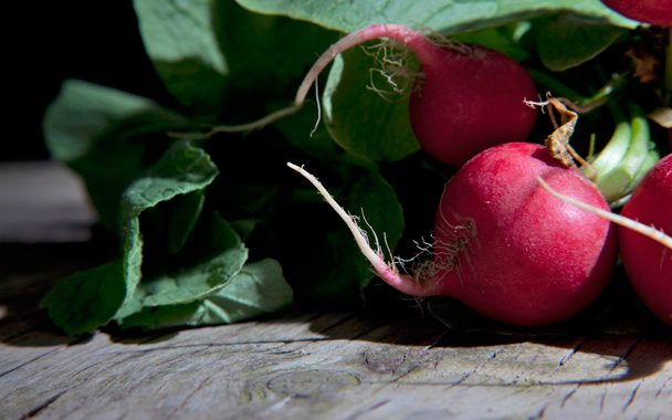 radishes