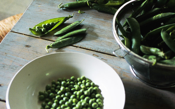 shelling peas