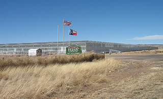 fort davis