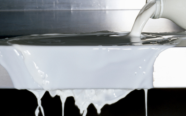 milk