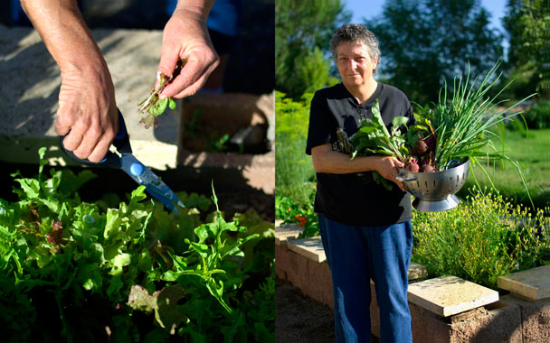 organic farming at a nursing home