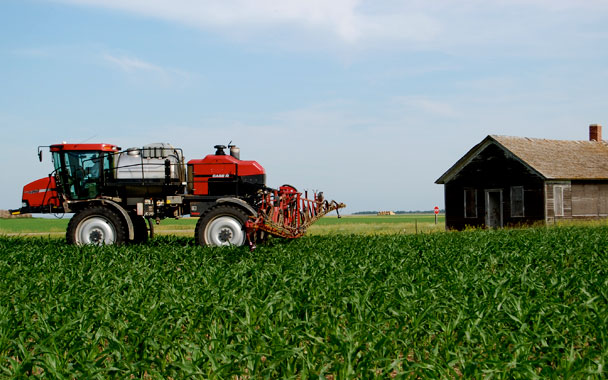 field of crops