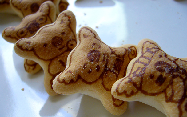 koala cookies