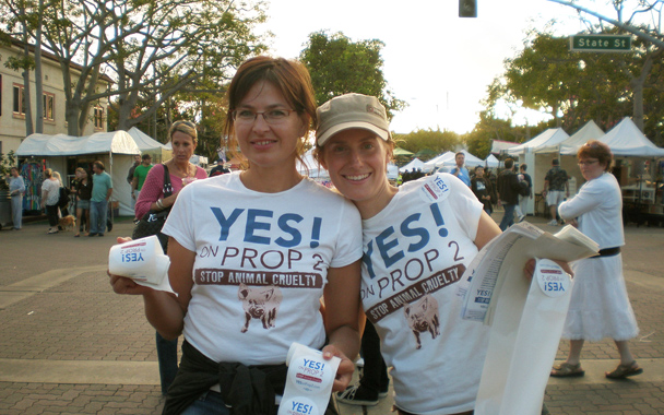 celebrating prop 2