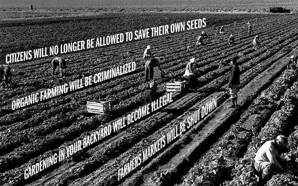 planting 