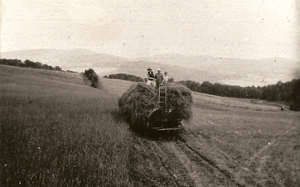 borland farm