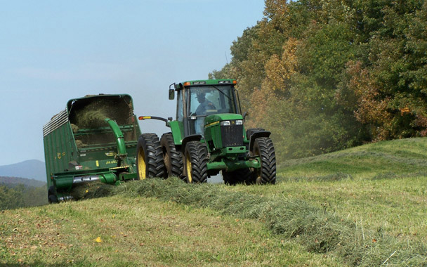 borland farm