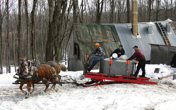 borland farm