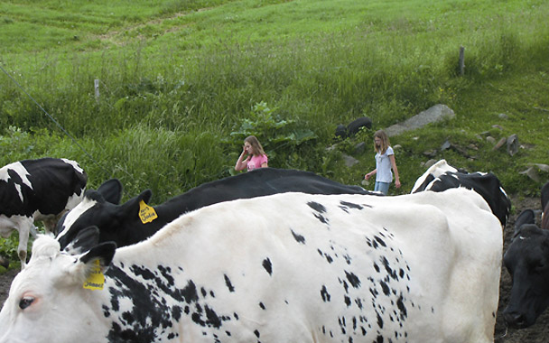 borland farm