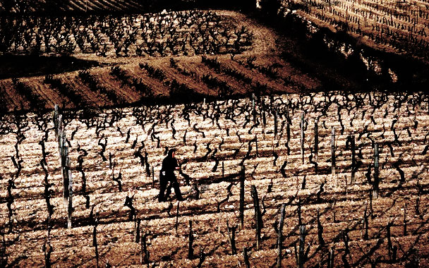 wine war global warming