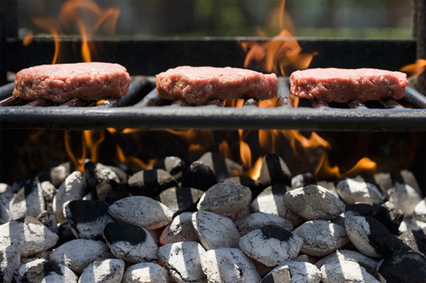 A Geek's Guide to Grilling