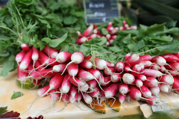 <strong>Radishes</strong><br> French breakfast radishes, with their slender red roots tipped with white, have a mild peppery flavor that pairs perfectly with fresh sweet cream butter and a couple of grains of coarse sea salt for an appetizer or bar snack, which is how I first learned to eat them Stateside, at a gastropub in Brooklyn. In the Dordogne, we sliced them in chunks for our salad, served with a homemade Dijon vinaigrette.