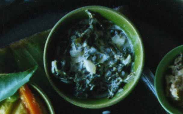 Spinach in Yogurt Sauce