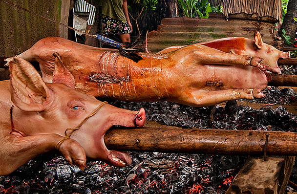 Whole Animal Barbecue Around the World with Steven Raichlen