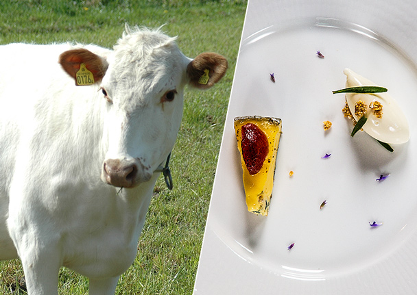 Sweden's Single-Cow Cheese