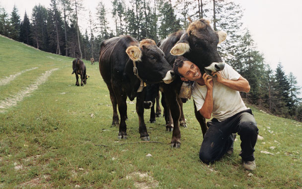 Fabio Maffei tends the family cows.