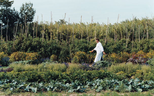 Man walking through fields of crops
