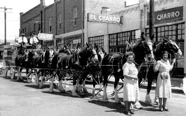 horses in front of el Charro Cafe