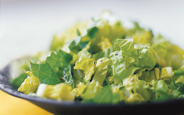 chiffonade of romaine and bibb lettuces