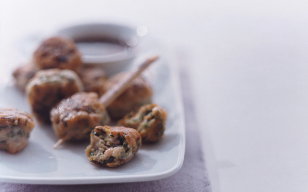 Chicken and Cilantro Bites