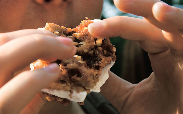 Praline Ice Cream Sandwiches