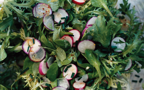 MÂche, FrisÉe, and Radish Salad with Mustard Vinaigrette