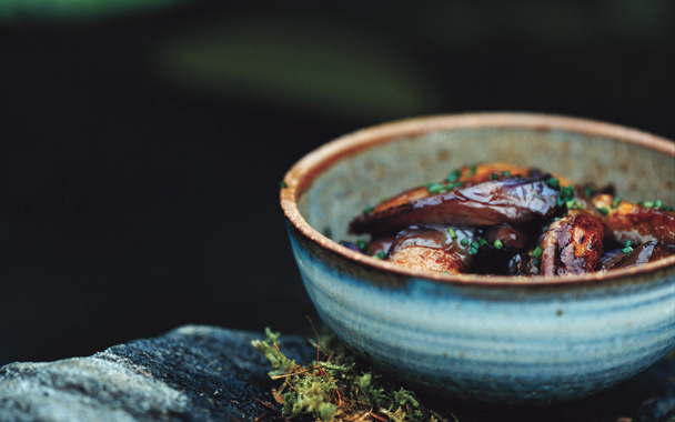 Spicy Glazed Eggplant