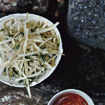 Kohlrabi Slivers and Pea Shoots with Sesame Dressing