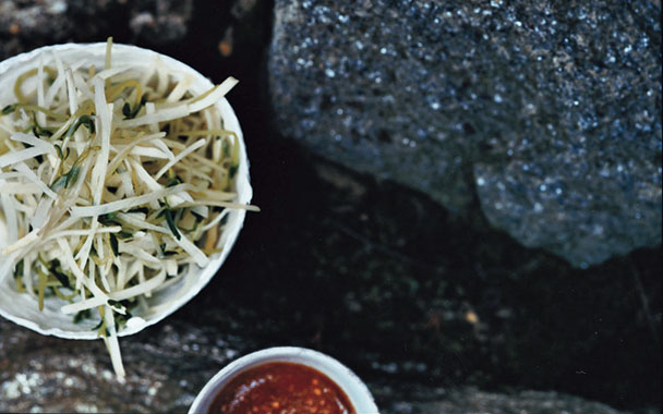 Kohlrabi Slivers and Pea Shoots with Sesame Dressing