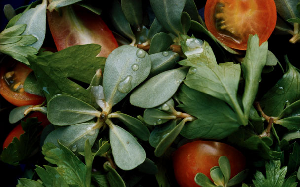 Purslane and Parsley Salad