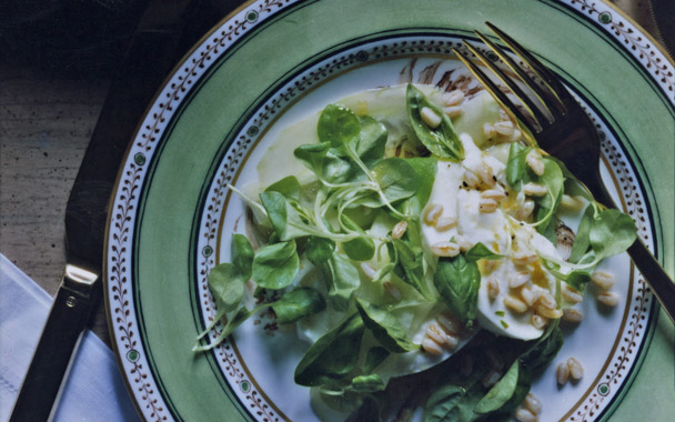 cucumber mozzarella farro salad