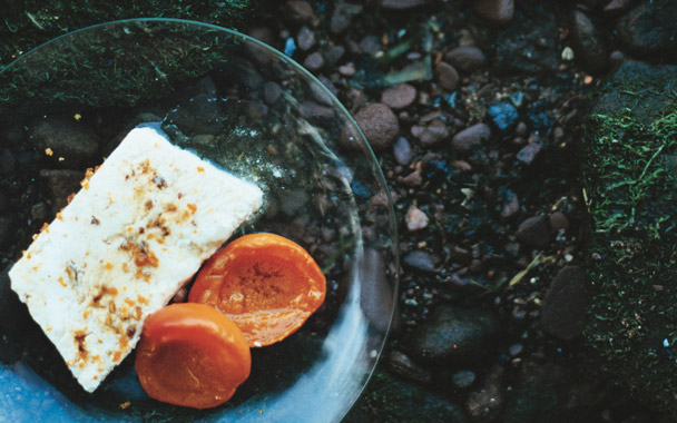 apricot praline semifreddo with grappa-poached apricots