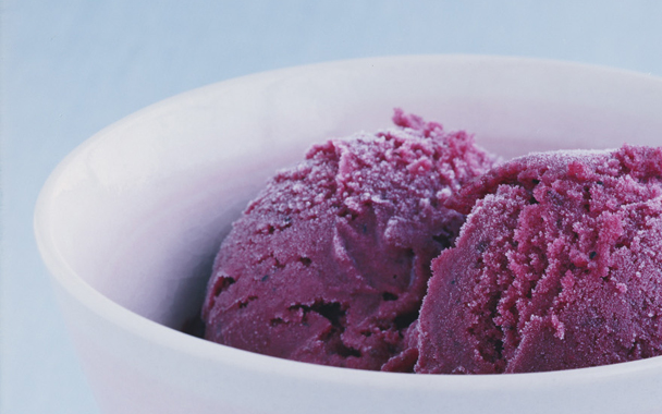 concord grape sorbet