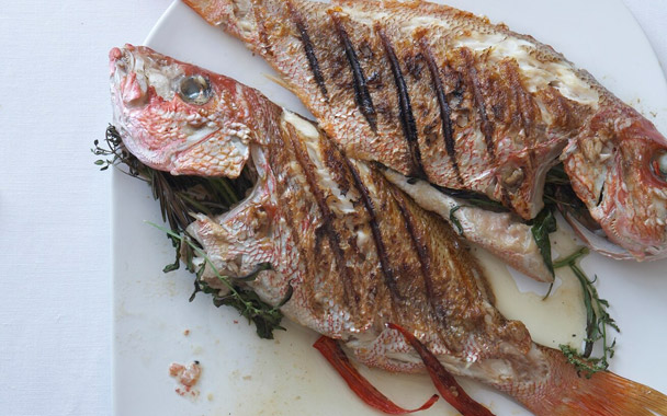 grilled snapper