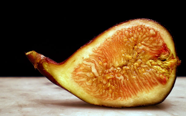 fig