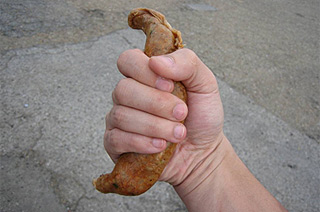 cajun2